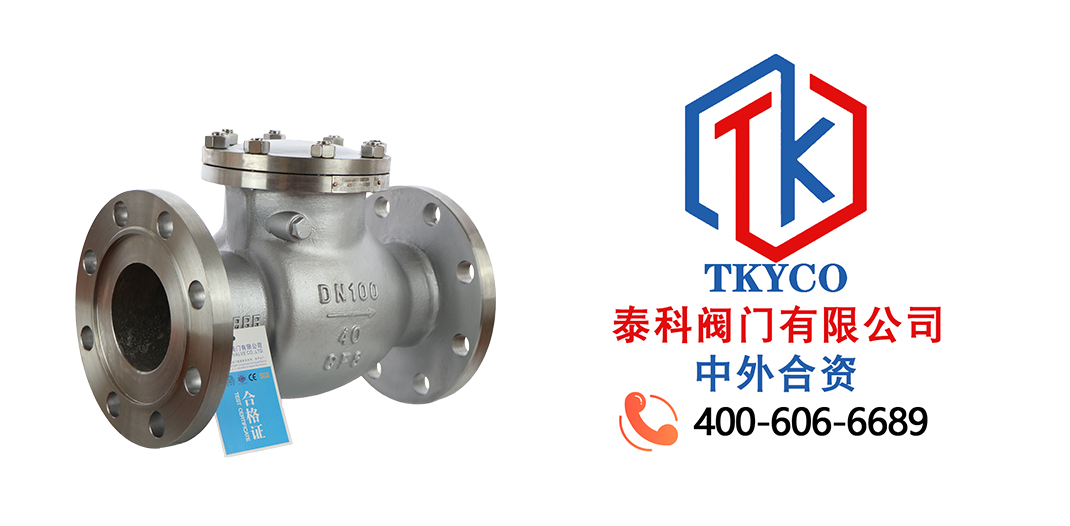 泰科閥門有限公司旋啟式止回閥的工作原理！