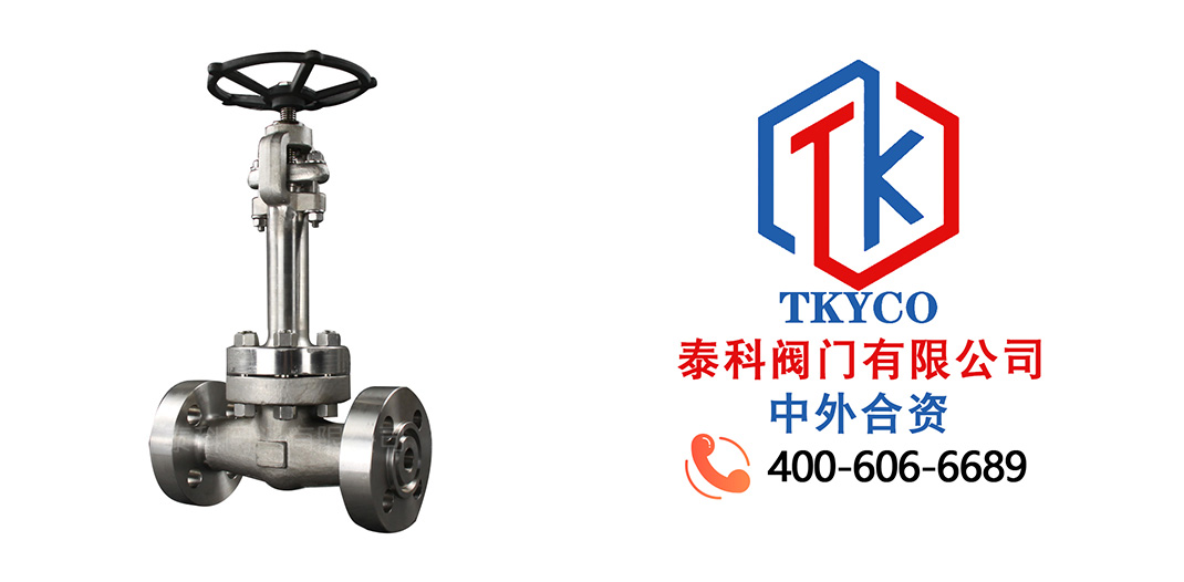 泰科閥門有限公司低溫鍛鋼閘閥！