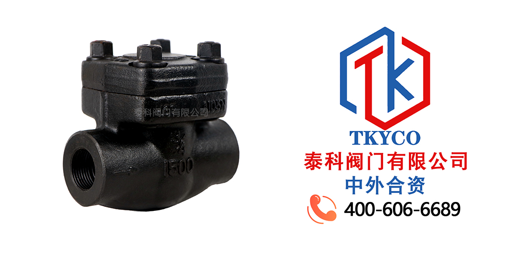 泰科閥門(mén)有限公司對(duì)夾式鍛鋼止回閥的應(yīng)用領(lǐng)域！